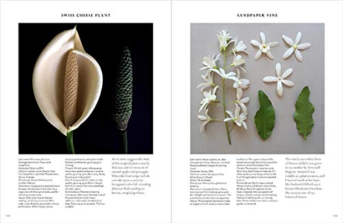 The Accidental Botanist: A Deconstructed Flower Book
