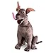 Disney Pixar Coco Day of the Death Dante 15 Inch Plush