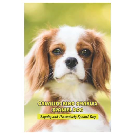 Cavalier King Charles Spaniel Dog: Loyalty and Protectively Spaniel Dog: The Perfect Cavalier King Charles Spaniel Dog