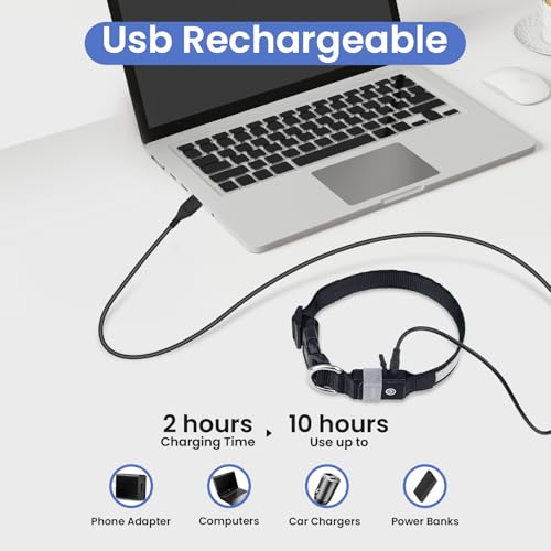MASBRILL Leuchthalsband Hund, Hundehalsband Leuchtend Aufladbar USB-C, LED Halsband für Hunde Einstellbare Wasserdicht, Halsband Hund Leuchtend 3 Lichtmodi für Kleine Mittlere Große Hunde(Schwarz L)