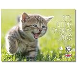 2026 A4 Calendar Cute Kittens. Cat Calendar 2026 cats. One Month to View. A3 when open. Wall Calendar by Absolutely Yours.