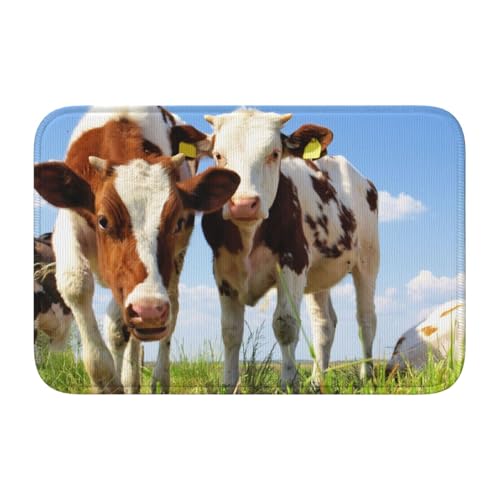 玄関マット 牛 アニマル 自然風景 青空 足拭きマット バスマット 滑り止め 吸水 速乾 お風呂マット おしゃれ かわいい 吸水速乾 厚手 防音 業務用 家庭用 40×60cm