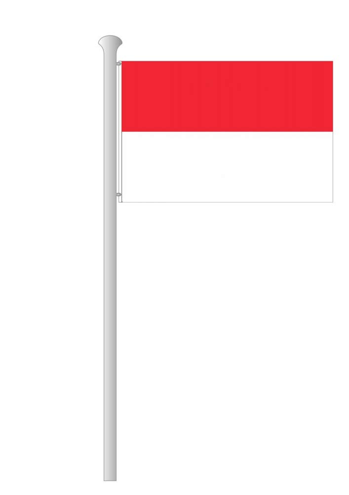 Deitert Bundesland-Flagge Hessen – 200x120 cm Hessen Fahne ohne Wappen, Hissfahne aus reißfestem Polyester