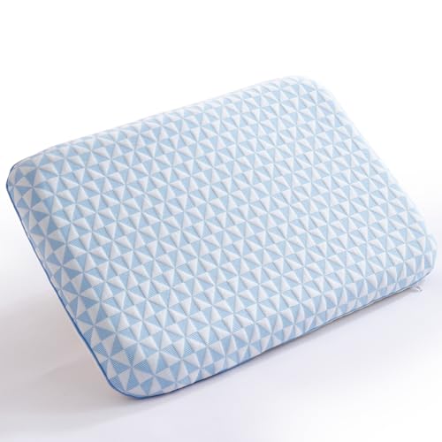 Flanhorest Ultradünnes Memory Foam Flaches Kissen - Kühlendes Bauchschläferkissen mit Abnehmbarer Waschbar Bezug, Nackenstützkissen für Rücken-...