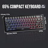 EPOMAKER x AULA F65 65% Układ klawiatury, niestandardowa klawiatura do montażu i profilu Cherry, Tri-Mode, RGB, bateria 4000 mAh, Hot Swap do PC/Mac (czarny, przełącznik Reaper Switch)