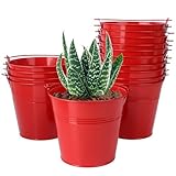 Biugaaufai 15 Pack 5.1" Red Metal Bucket, Elegant Galvanized Buckets with Handles, Tin Buckets, Small Iron Bucket, Metal Pail for Party Favors, Crafts, Garden & Beach