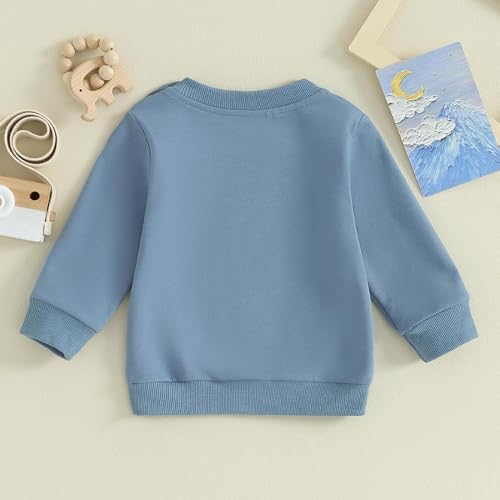 Image of Baby Boy Girl Pumpkin Sweatshirt Tops Toddler Halloween Outfit Long Sleeve Crewneck Pullover Sweater Shirt Fall Clothes