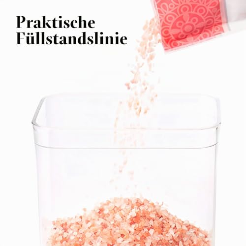 OXO 11235900 Good Grips Pop-Behälter-Set, 5-teilig, Kunststoff, weiß – Ansicht 4