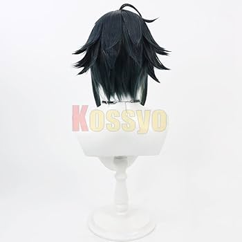 Amazon.co.jp: コスプレウィッグ 伊波ライ いなみらい 耐熱 文化