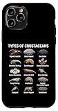 Tipos de crustáceos - Tabla de Especies Marinas y terrestres Carcasa para iPhone 11 Pro