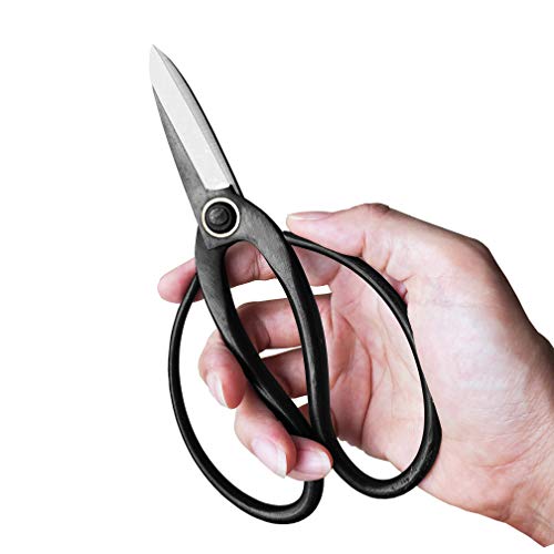 Tijeras profesionales para bonsái 7.3 pulg miniatura 4