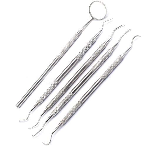 Precise Canada: 5pc Assorted Stainless Steel Dental Picks Double End and MirrorF