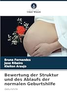 Bewertung der Struktur und des Ablaufs der normalen Geburtshilfe: Geburtshilfe (German Edition) 6208800641 Book Cover