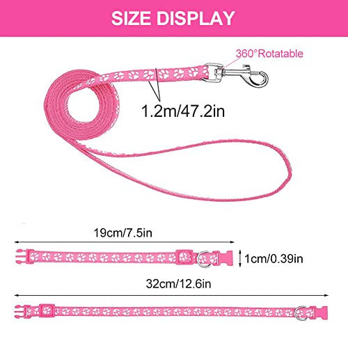 Hundehalsband und Leine Set für Kleine Hunde, Bequem Verstellbar, Welpenhalsband, Rosa