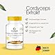 Cordyceps Extrakt 500 mg - 120 Kapseln, standardisiert auf 40% Polysaccharide, veganer Vitalpilz | Warnke Vitalstoffe - Deutsche Apothekenqualität
