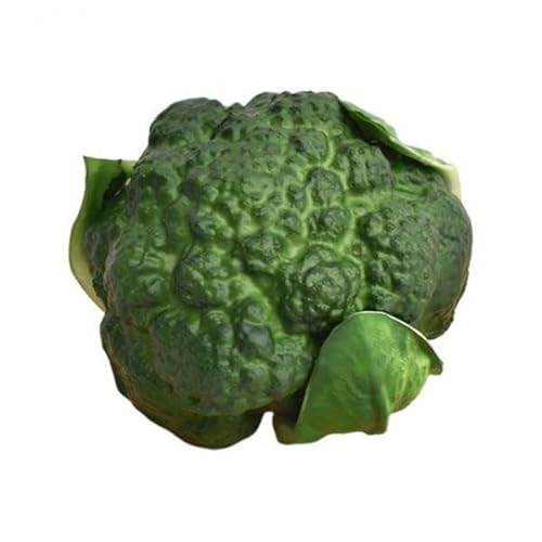 Artificial Broccoli Vegetable Fake Decorative Model Natural Texture PU Suitable for Teaching Shop Kitchen Wedding, Green Broccoli