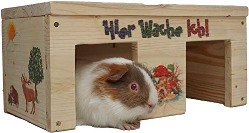 Meerschweinchenhaus mit zwei Eingängen und Holzlasur