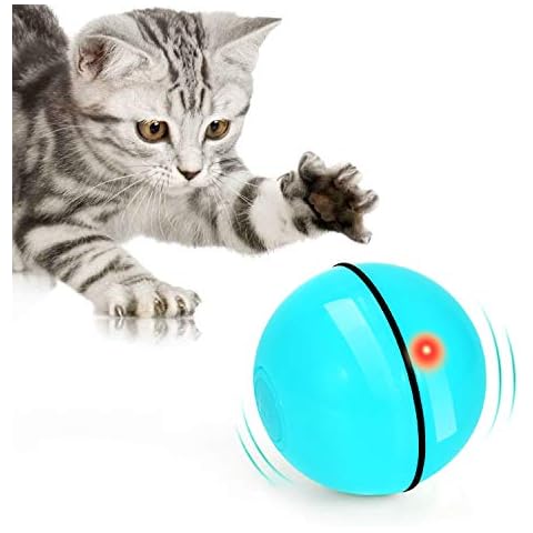 WWVVPET Juguete para Gatos 2023 Cover