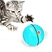 Interactive Rechargeable Cat Toy Ball Wwvvpetinteractive Cat Toys Ball With Led Light 360 Degree Self Rotating Ball Usb Rechargeable Cat Ball Toy Stimulate Hunting Instinct Kitten Funny Chaser Roller Pet Toy Interactive