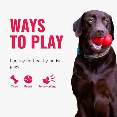KONG – Squeakair Balls – Premium-Hundespielzeug, Quietschende Tennisbälle, Zahnschonend – Für Mittelgroße Hunde (6er–Pack)