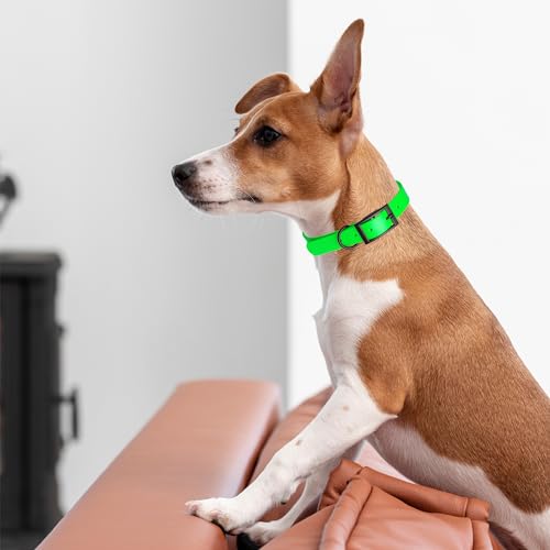 Image of Dogline Biothane Waterproof Dog Collar Strong Coated Nylon Webbing with Black Hardware Odor- Proof for Easy Care Easy to Clean High Performance Fits Small Medium or Large Dogs, Tropical Green