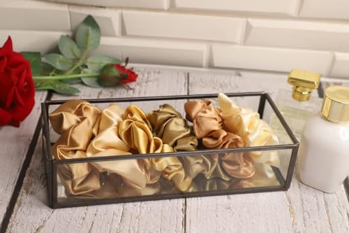 Image of Vintage Rectangular Brass Glass Tray with Jewelry Organizer, Decorative Accent, Wedding Bridal Party Gift, Candy Table Decor (Colour-Black, Size- 25cm X 11cm X 6cm (LxBxH) (Pack of 1)