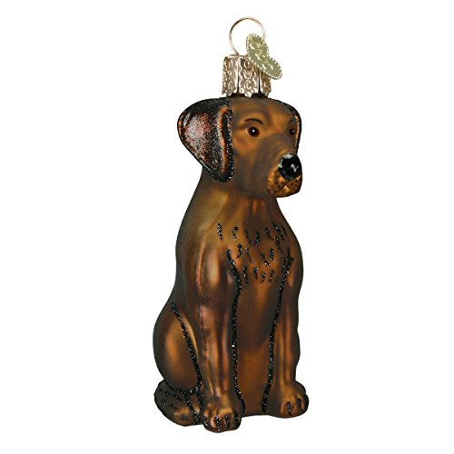 Old-World Christmas Glass Blown Ornament with S-Hook and Gift Box, Variety Animal Collection (Chocolate Labrador, 12387)