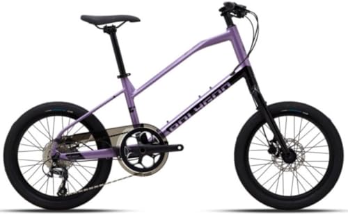 POLYGON |S ZETA 2 (p[v) 20C` ~jx 10iϑ fBXNu[L