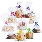 YAOYYG 100 Piezas Bolsas Celofan Transparente, Con 100 Lazos Regalo Bolsas, Navidad Bolsas para Chuches, Bolsas para Regalos, para Envolver Galletas Pastel de Chocolate Confitería (23 x 15 cm)