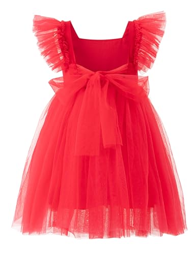 Image of Tutu.kk Toddler Girls Vintage Party Dress Ruffled Sleeve A-Line Tulle Flower Girl Dresses for Wedding,Birthday