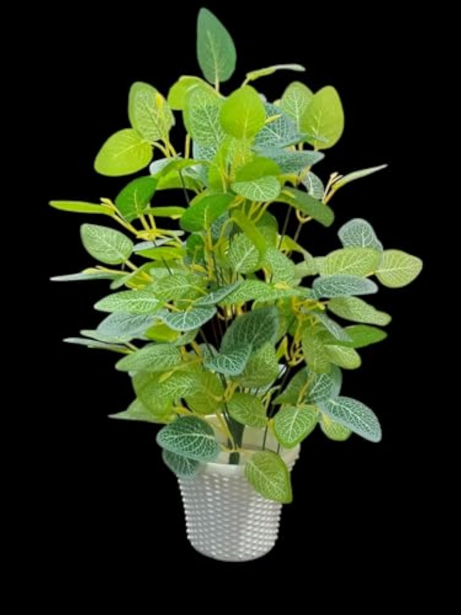 Artificial Green Leaf Money Plant with Plastic Pot