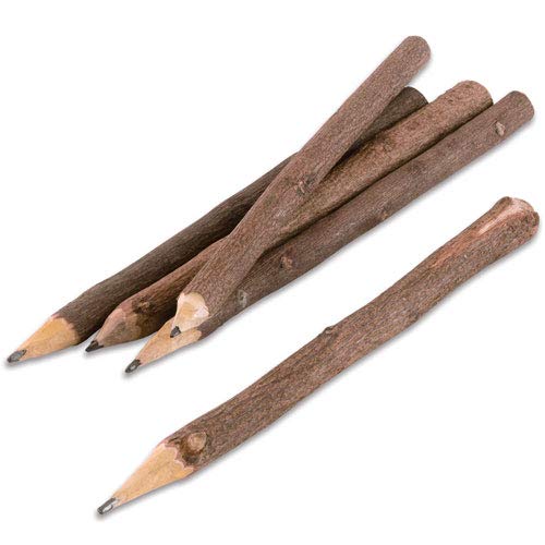 RAC Rich Art and Craft Jaipur Eco Friendly Gift wooden Handicraft Neem Pencil (20)