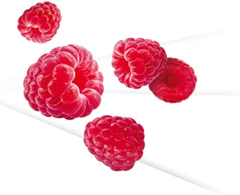 KitKat Nestle 2 Finger Raspberry Chocolate Wafer 19.5g