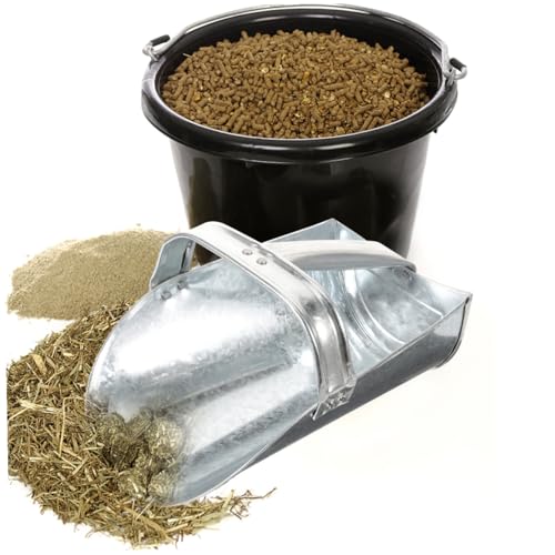 Pelle à aliment en acier inoxydable supérieure pour distribution de grain