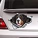 Bernese Mountain Dog car Decal, Torn Metal Decal, Bernese Mountain Dog Sticker Vinyl Sticker for Cars, Windows, Walls, Fridge, Toilet and More - 15 Inch