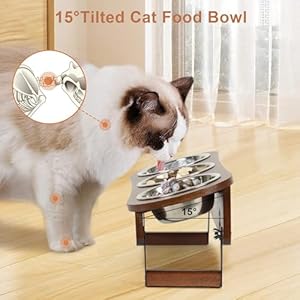 Raised Cat Food Bowl 2 Height Elevated Cat Bowls for Cats Small Dogs Puppy Tilted Elevated Dog Bowls 3 Bowl Cat Feeder Dog Pet Bowl Stand  Cucciolini Doodles Raised cat food bowl 2 height elevated cat bowls for cats small dogs puppy tilted elevated dog bowls 3 bowl cat feeder dog pet bowl stand   cucciolini doodles