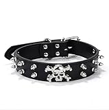 Younther Pet PU Rivets Adjustable Skull Head Dog Chain Ring Collar Spiked Studded Leather Dog Collar for Small or Medium Pet