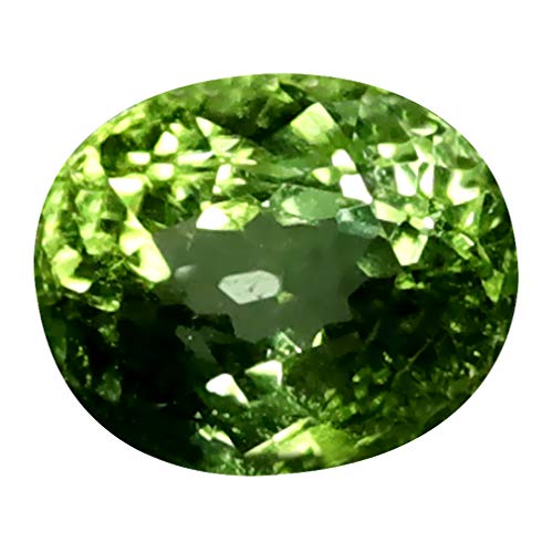Tourmaline verte naturelle 1,25 ct pierre précieuse ovale 7x6 mm pour création bijoux