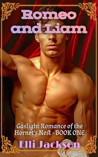 Romeo and Liam (Gaslight Romance of the Hornet's Nest Book 1)