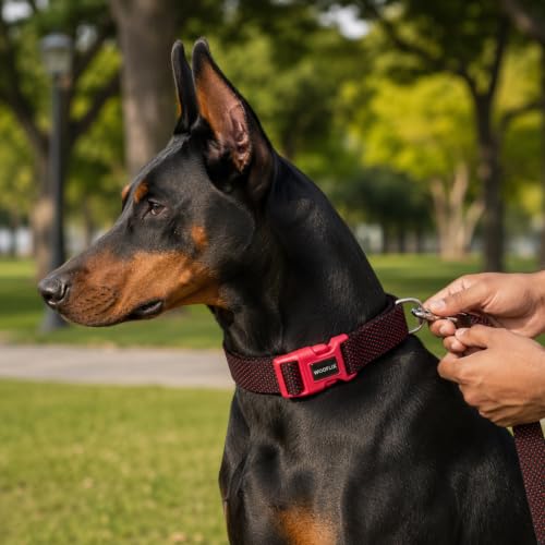 Image of Wooflix Premium Adjustable Dog Collar for Small, Medium & Large Breed Dogs | Heavy Duty Nylon Dog Neck Belt with Strong Buckle & D-Ring for Walking, Training & Daily Use (Red, Medium)