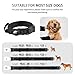Upgraded Airtag Dog Collar Waterproof, Adjustable GPS Training Nylon Dog Collar with AirTag Holder, Control Handle and Quick-Release Buckle for Medium and Large Dogs (Black, L)
