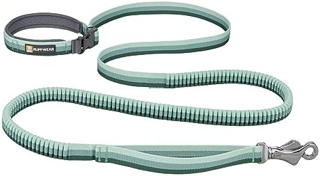 Ruffwear, Roamer Bungee Dog Leash for Running, Biking or Hiking, ...