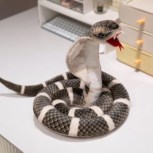 Holowa LORu A ʂ  NbV av[g q j̎q ̎q o[Xf[j ҏb (115cm,X^C2) [sAi]