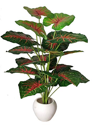Image of Big Areca Palm Money Plant Tree with 18 Long Leaves Bonsai Artificial Plant with Pot (70 cm, Red, 1 Piece)