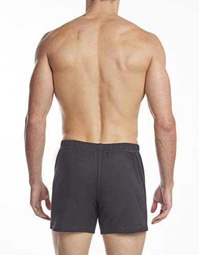 Stanfield's Men's Premium Cotton Knit Boxer, 2 Pack4