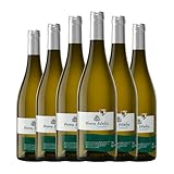 Pinna Fidelis Verdejo Rueda 75 cl Vino blanco (Caja de 6 Botellas de 75 cl)