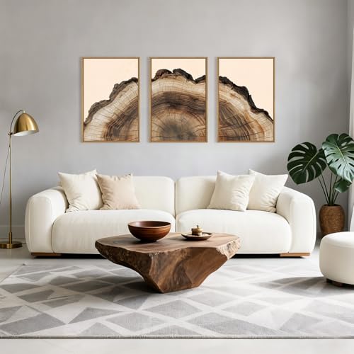 Image of KAIRNE Vintage Tree Rings Framed Canvas Wall Art Set, Retro Wood Stump Wall Decor, Neutral Tree Spiral Art Prints, Modern Annual Ring Artwork for Living Room, Bedroom, Farmhouse, Office-24 x36 x3
