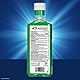 ACT Anticavity Fluoride Mouthwash Alcohol Free Mint -- 18 fl oz by ACT