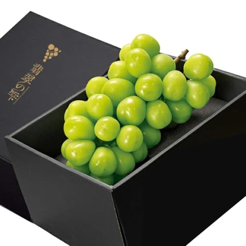 [翡翠の雫]シャインマスカット 1房 約600g×1 [米子髙島屋選定品] ギフト 2026 先行予約 ぶどう マスカット 皮ごと 種なし 贈り物 プレゼント 樹上完熟 完熟 朝採れ 島根県 安来市