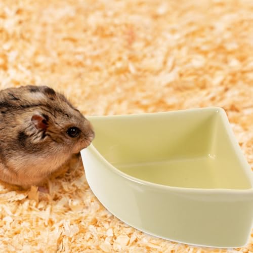 Gamelle en céramique jaune pour hamster et cochon d'Inde - 7